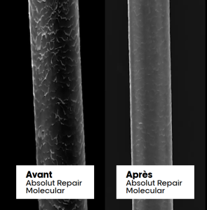 radiographie du cheveu avant après soin absolut repair molecular